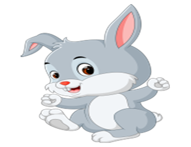 Fluffy Bunnies